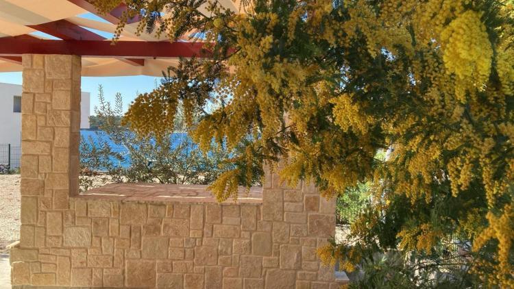 Helena Rogoznica (Sibenik-Knin) Exterior foto